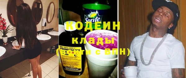 дмт Богданович