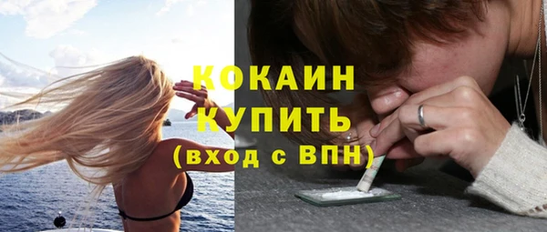 дмт Богданович
