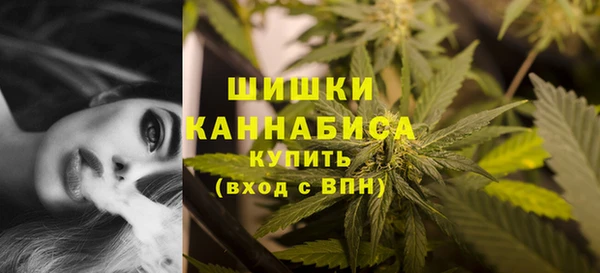 бошки Богородск