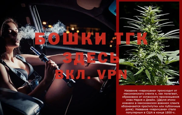дмт Богданович
