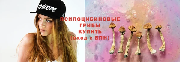 дмт Богданович