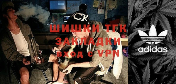 дмт Богданович