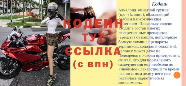 дмт Богданович