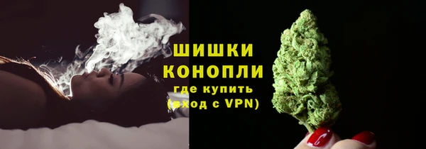 дмт Богданович