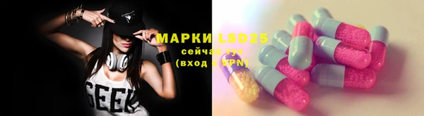 дмт Богданович