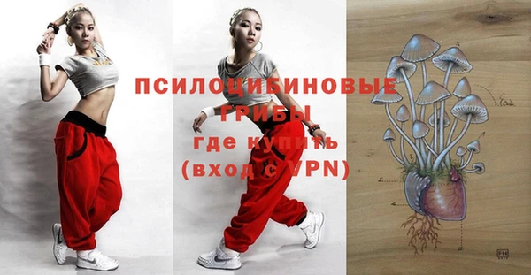дмт Богданович
