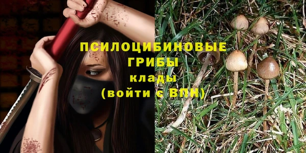 бошки Богородск