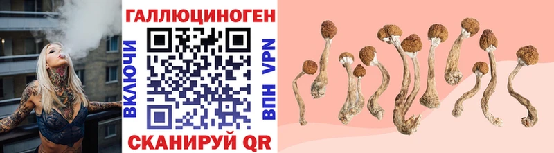 Купить  Муравленко  Галлюциногенные грибы прущие грибы 